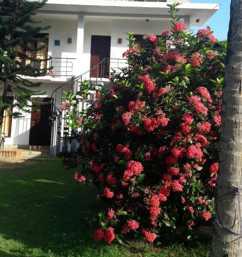 Dreamvillage Dodanduwa Ngoại thất bức ảnh