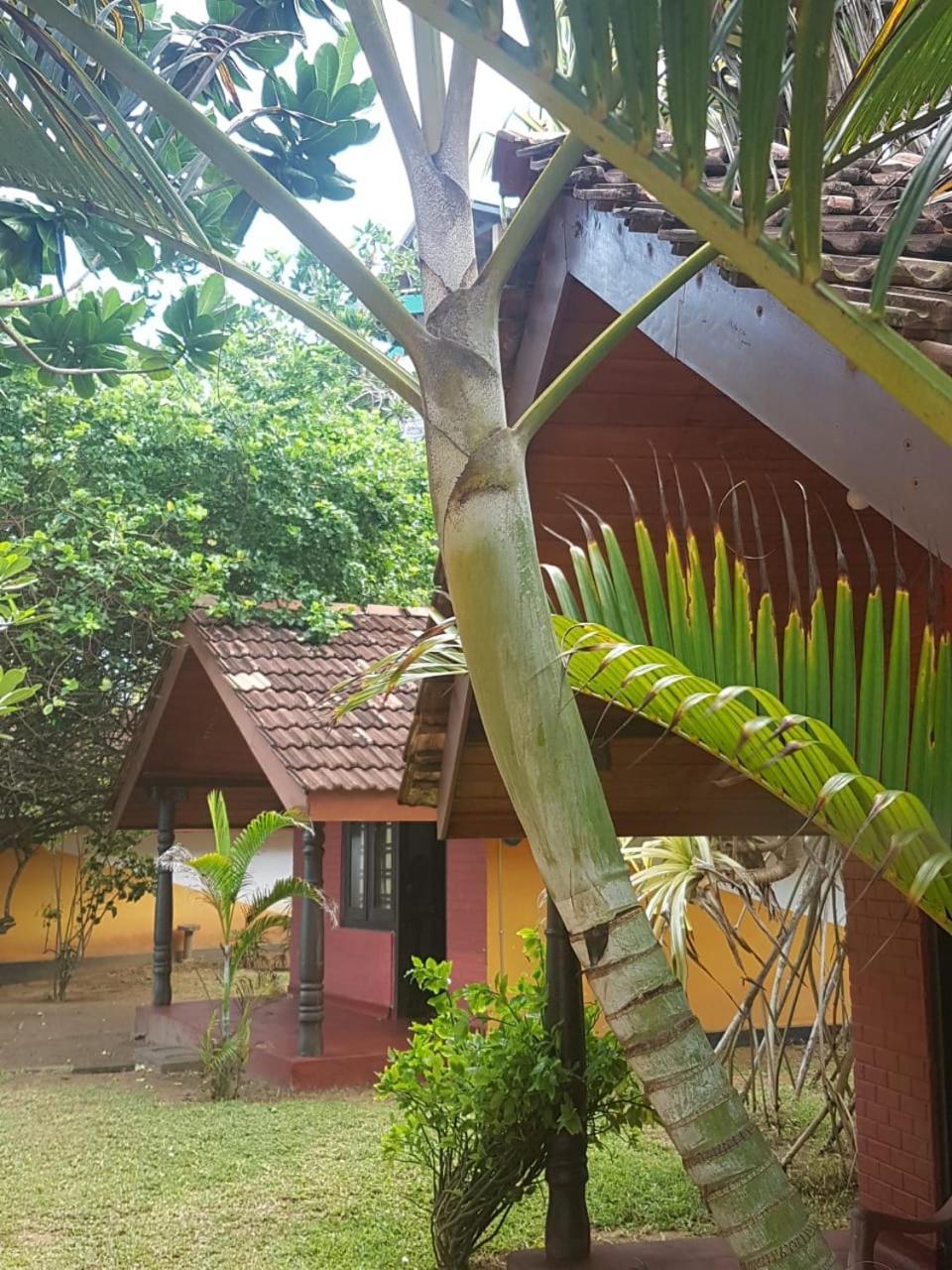 Dreamvillage Dodanduwa Ngoại thất bức ảnh