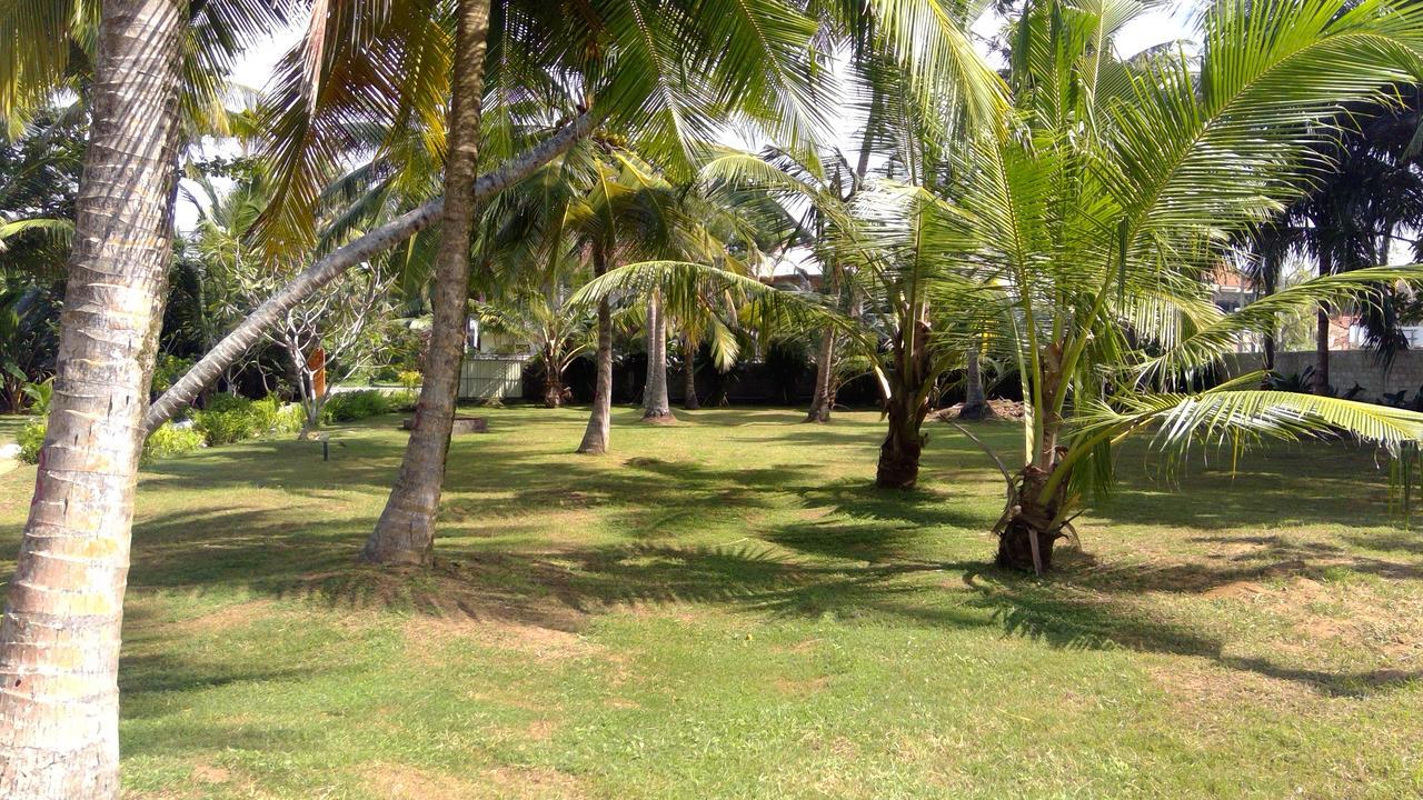 Dreamvillage Dodanduwa Ngoại thất bức ảnh